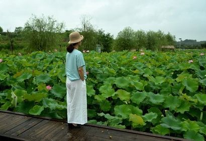 免费b站在线观看人数在哪